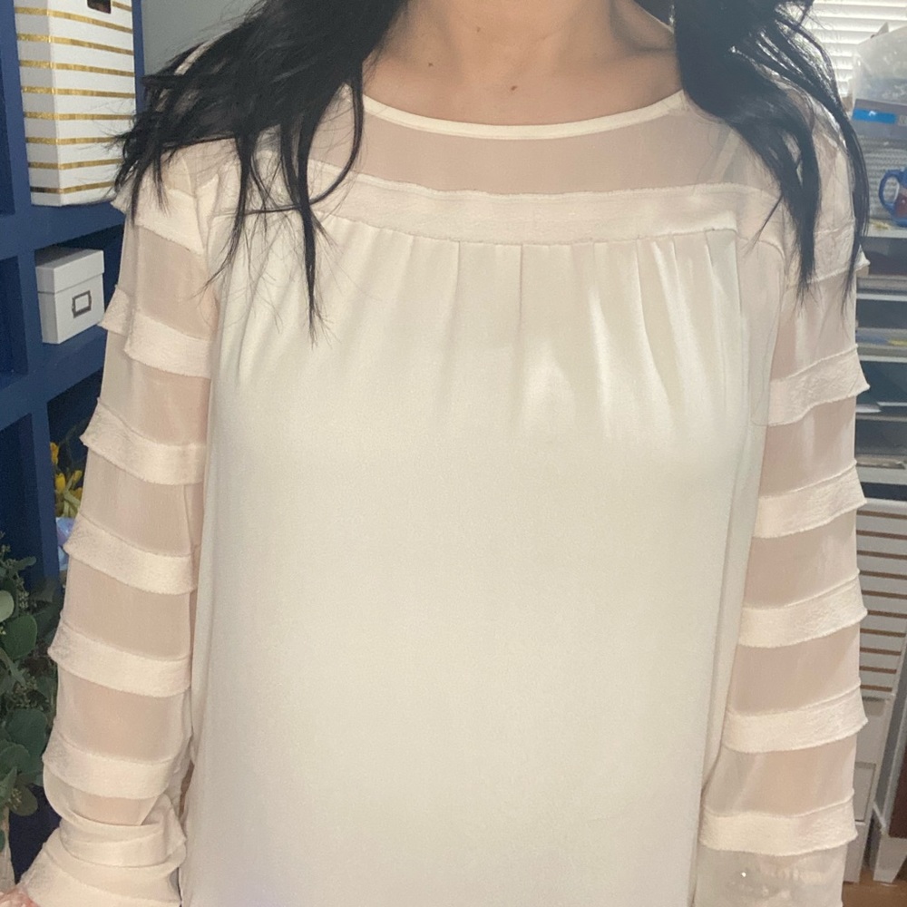 Blush long sleeve Blouse